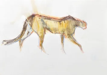 Guépard, 2020