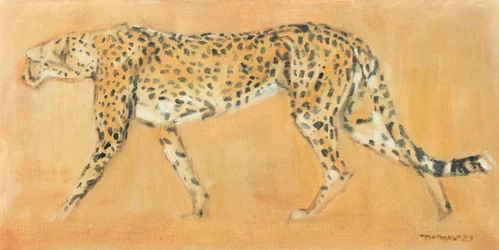 Guépard en chasse, 2021