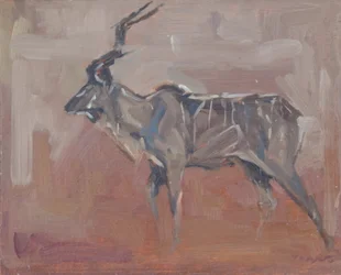 Kudu Bull, 2018