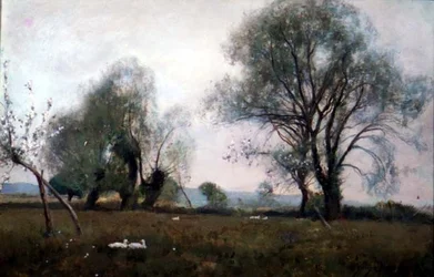 Dans les prairies humides