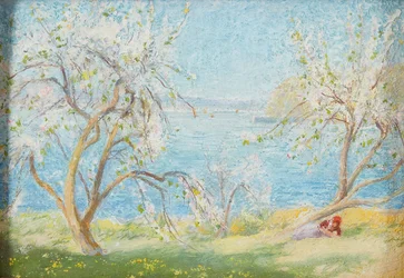 Soleil de printemps