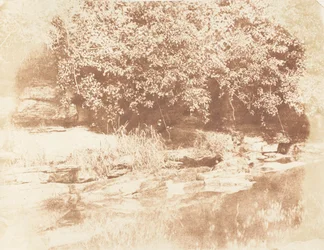 Burnside, île de Fife dans la rivière Almond