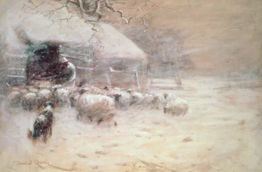 Moutons - Refuge sûr