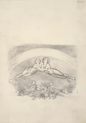 Six dessins pour Nichol