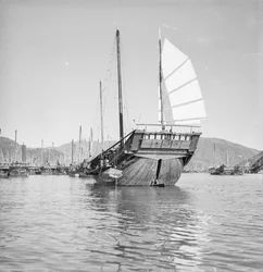 Vue de quart arrière du type de jonque de pêcheur de Hong Kong 2473HA ancré à Hong Kong