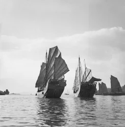 Deux jonques de type pêcheur Yeungkong sous voile à Aberdeen, Hong Kong