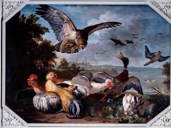 Oiseaux effrayés par un aigle