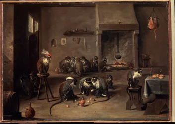 Singes dans la cuisine