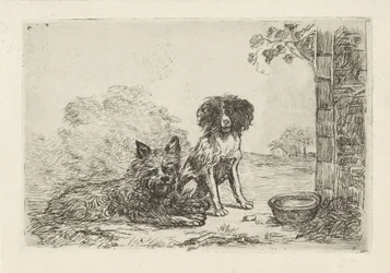 Deux chiens