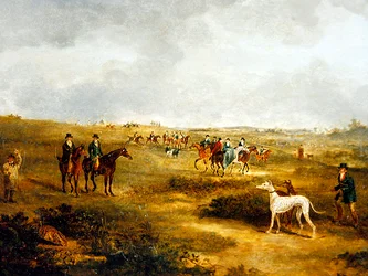 Chasse au lièvre