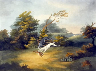 Course, planche 4, gravé par R.G. Reeve