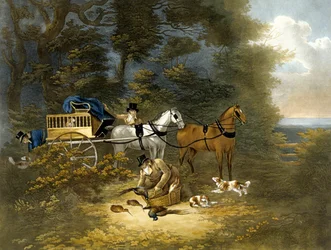 Tir, planche 4, gravé par R.G. Reeve