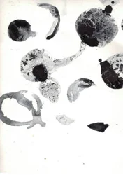 Formes abstraites fluides