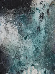 Textures de sarcelles gelées