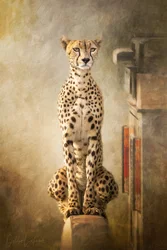 Portrait majestueux d
