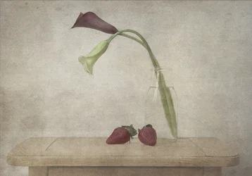 Lys calla et fraises