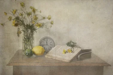 Une nature morte intemporelle