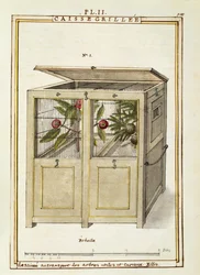 Coffre pour le transport des plantes, aquarelle de Delahaye
