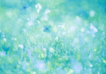 Aqua Butterfly Dream