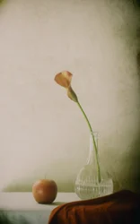 Nature morte avec calla et pomme