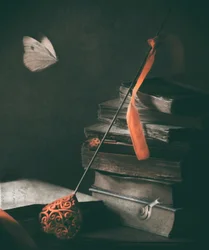 Papillon « Dark Academia »
