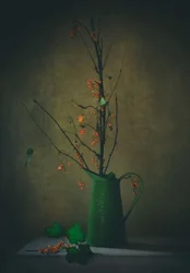 Nature morte botanique sombre