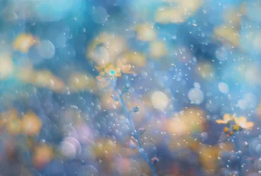 Bleu de rêve, fleurs scintillantes