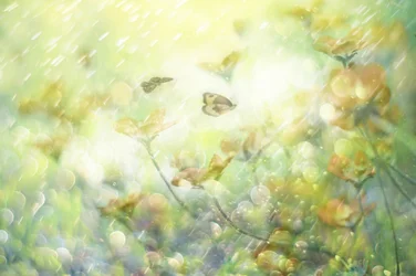 Fleurs de papillons féériques