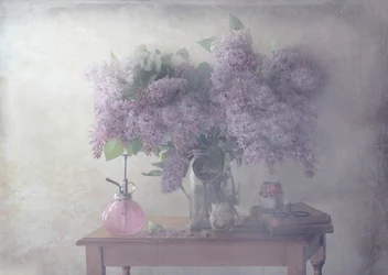 Nature morte au lilas, une image de rêve