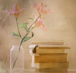 Dreamy Lilies - Snail Books
