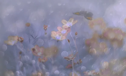 Fleurs pastel de rêve