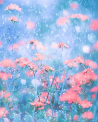 Fleurs roses de rêve