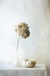 Nature morte à l