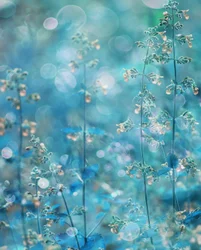 Fleurs bleu-vert éthérées