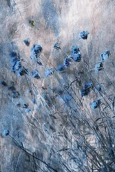 Fleurs bleues délavées