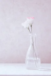 Fleurs d