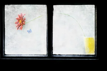 Nature morte devant une fenêtre givrée