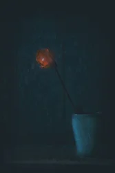 Fleur rouge éclatante