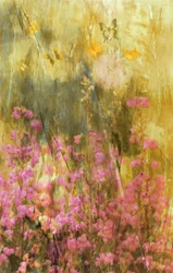 Les papillons de Golden Meadow