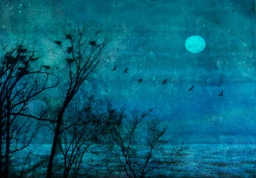 Repaire hivernal au clair de lune