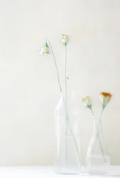 Fleurs pâles dans un verre