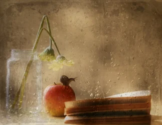 Un escargot sur une pomme un jour de pluie