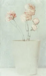 Fleurs aux couleurs douces et délavées
