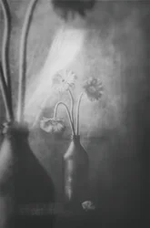 Fleurs aux teintes douces