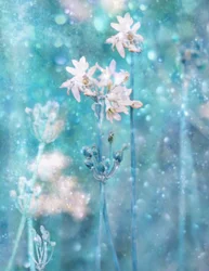 Fleurs bleues étincelantes