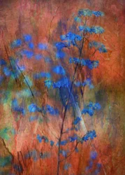 Rêve floral bleu texturé