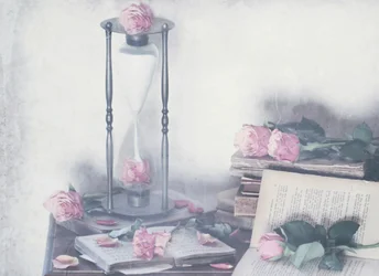 Des roses et des livres intemporels
