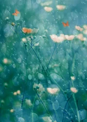 Papillons aux couleurs chatoyantes dans le jardin