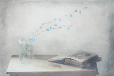 Livre ancien et fleurs bleues