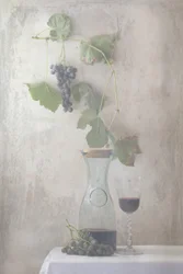 Nature morte avec des raisins de vendange
